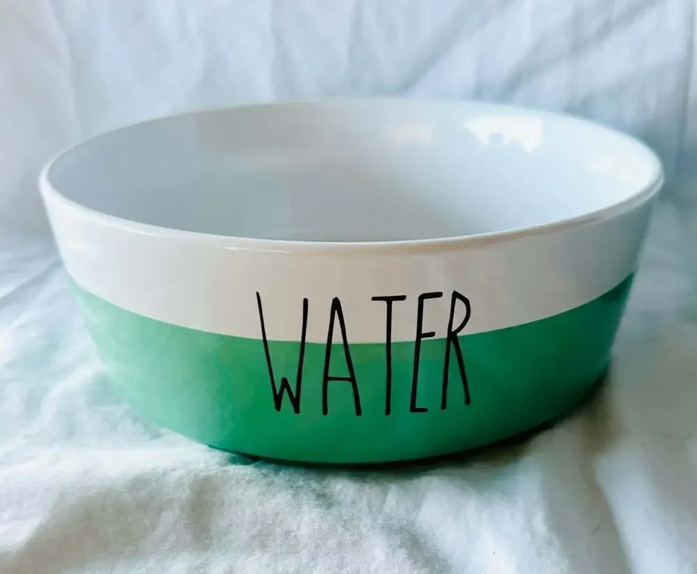 Rae Dunn Magenta Mint Ceramic Food and Water Pet Bowls Set